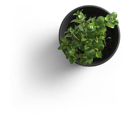 Plano de Negócios Como fazer Etapas